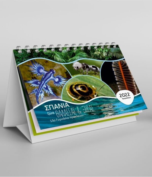 Σπιράλ ημερολόγιο πυραμίδα σπάνια ζώα