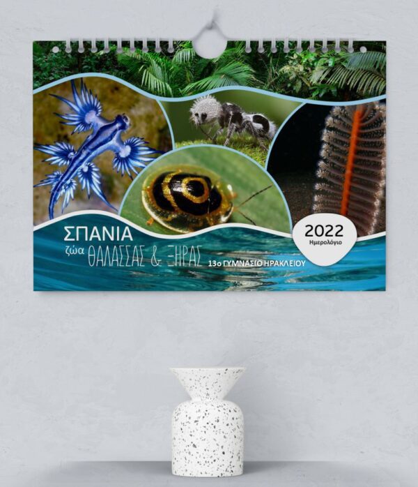 Σπιράλ ημερολόγιο τοίχου με σπάνια και άγνωστα ζώα σε Α4 και Α4+